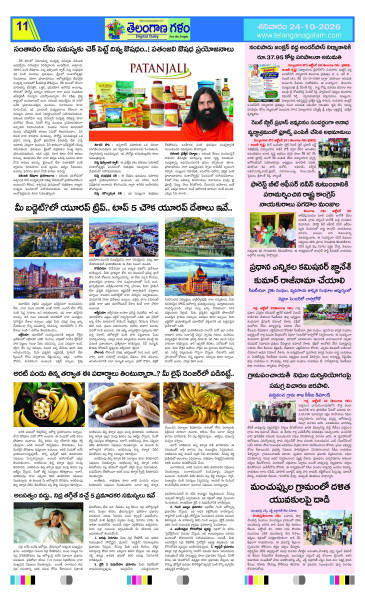 Page 11 thumbnail