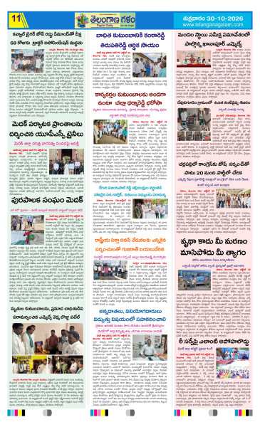 Page 11 thumbnail